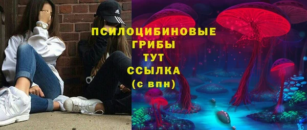 МДПВ Арсеньев